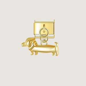 Charm Chien Teckel