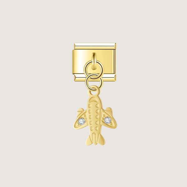 Charm Avion