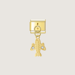 Charm Avion