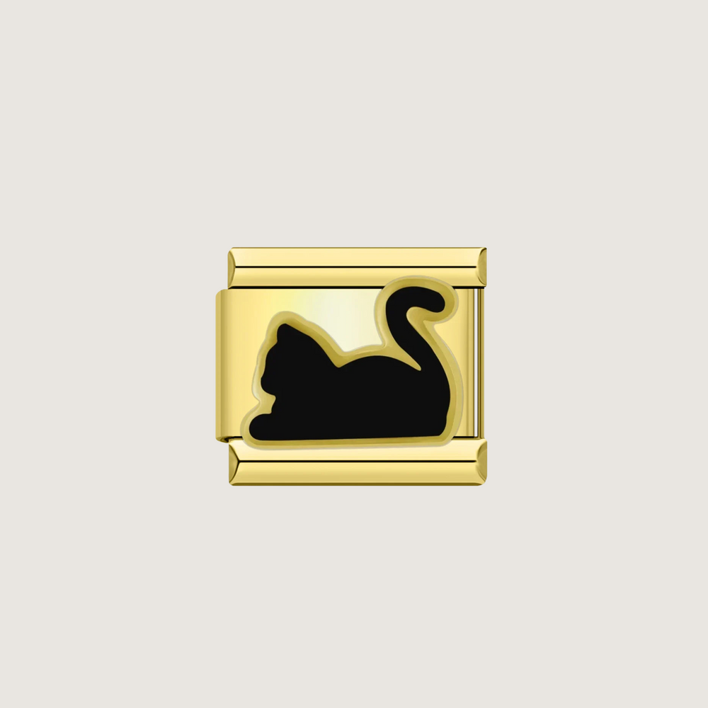 Charm Chat Noir Or