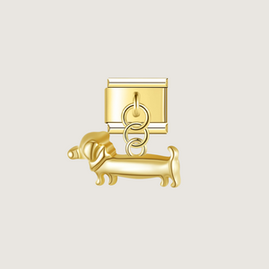 Charm Chien Teckel