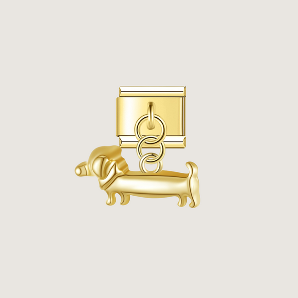 Charm Chien Teckel