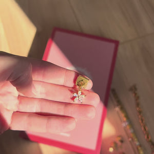 Calendrier de l'Avent 2025 - Édition Charms